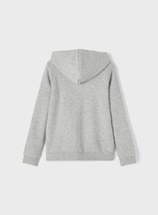 Name It Дети Nkflena Ls Sweat Card Wh Bru Noos 13194878 толстовки Серый Светло-серый EU 116, EU 110 цена и информация | Свитеры, жилетки, пиджаки для девочек | 220.lv