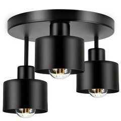 Piekaramā lampa Luxolar 382 цена и информация | Потолочные светильники | 220.lv