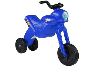 Трехколесный велосипед Enduro Rider, синий цена и информация | Игрушки для малышей | 220.lv