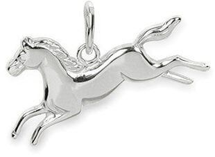 Brilio Silver Серебряный кулон в виде лошади 441001 00903 04 sBS0364 цена и информация | Украшения на шею | 220.lv