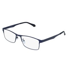 Brilles lasīšanai 7306 D1.50 Blue Metal cena un informācija | Brilles | 220.lv