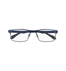 Brilles lasīšanai 7306 D4.00 Blue Metal cena un informācija | Brilles | 220.lv