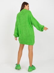 светло-зеленое вязаное платье с длинным рукавом цена и информация | Женские кофты | 220.lv
