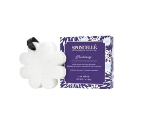 Парфюмированная губка Spongelle Boxed White Flower - Blackberry цена и информация | Масла, гели для душа | 220.lv