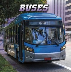 Buses цена и информация | Книги для подростков и молодежи | 220.lv