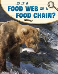 Is It a Food Web or a Food Chain? cena un informācija | Grāmatas pusaudžiem un jauniešiem | 220.lv