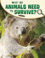 What Do Animals Need to Survive? цена и информация | Книги для подростков и молодежи | 220.lv