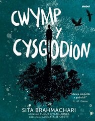 Darllen yn Well: Cwymp y Cysgodion cena un informācija | Grāmatas pusaudžiem un jauniešiem | 220.lv