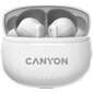 Canyon TWS-8 ENC White CNS-TWS8W цена и информация | Austiņas | 220.lv