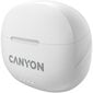 Canyon TWS-8 ENC White CNS-TWS8W cena un informācija | Austiņas | 220.lv