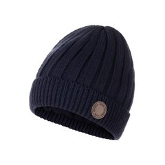 Детская шапка Rema Lenne 23389 B*229, тёмно-синяя, 4741593446696 цена и информация | Шапки, перчатки, шарфы для мальчиков | 220.lv