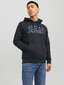 Jack & Jones vīriešu sporta krekls 12152840*06, melns 5715106795563 цена и информация | Vīriešu krekli | 220.lv