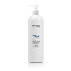 BABE HAIR ĪPAŠI MAIGAIS ŠAMPŪNS 500ML цена и информация | Шампуни | 220.lv