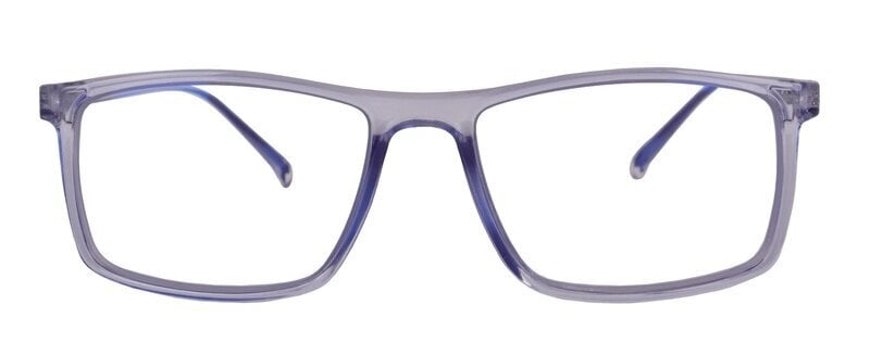 Zilās gaismas aizsardzības datorbrilles vīriešiem Lensor UltraBlue LD 2429 55-17-146 C7 (L), pelēki caurspīdīgas cena un informācija | Brilles | 220.lv