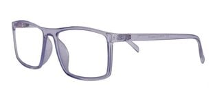 Компьютерные очки с защитой от синего света для мужчин Lensor UltraBlue LD 2429 55-17-146 C7 (L), прозрачно-серый цена и информация | Очки | 220.lv