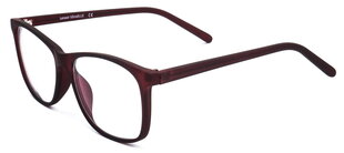 Компьютерные очки с защитой от синего света для мужчин и женщин Lensor UltraBlue G105 C5 54-16-144 (M), красный цена и информация | Очки | 220.lv