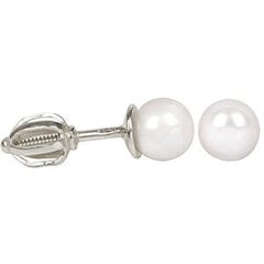 Brilio Zelta sieviešu auskari ar pērli 235 001 00403 07 sBR0401 cena un informācija | Auskari | 220.lv
