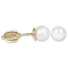 Brilio Sieviešu zelta auskari ar pērli 235001 00403 sBR1016 cena un informācija | Auskari | 220.lv