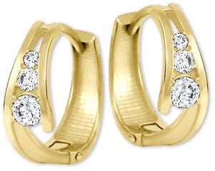 Brilio Золотые серьги кольца с цирконами 239 001 00800 sBR1219 цена и информация | Серебряный кулон | 220.lv