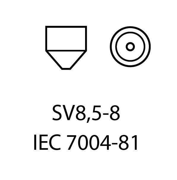 EinParts Auto LED Spuldzes C10W Festoon 36mm 6000K CanBus 12V - 2 gb. cena un informācija | Auto spuldzes | 220.lv