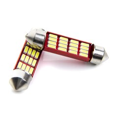 EinParts Auto LED Spuldzes C10W Festoon 39mm 6000K CanBus 12V - 2 gb. цена и информация | Автомобильные лампочки | 220.lv