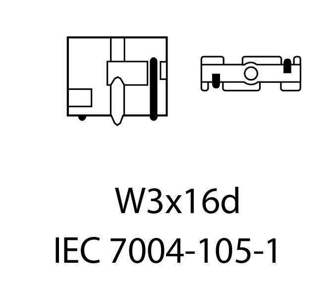 EinParts Auto LED Spuldzes W21W 6000K CanBus 12V - 2 gb. цена и информация | Auto spuldzes | 220.lv