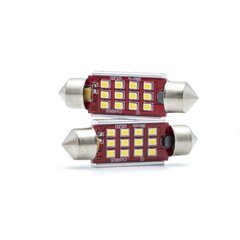 Лампа автомобильная светодиодная EinParts C5W Festoon 39mm 6000K CanBus 12/24V - 2 шт. цена и информация | Автомобильные лампочки | 220.lv