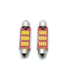 Лампа автомобильная светодиодная EinParts C10W Festoon 42mm 5000K CanBus 12/24V - 2 шт. цена и информация | Автомобильные лампочки | 220.lv