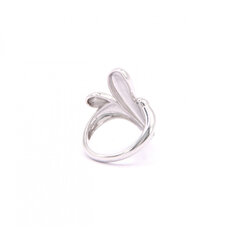 Серебряное кольцо SGAR8301 цена и информация | Кольца | 220.lv