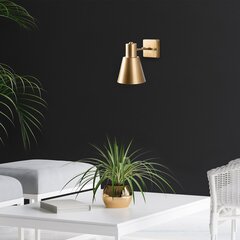 Настенная лампа цена и информация | Настенные светильники | 220.lv