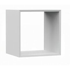 Функциональная вставка для стеллажей Malax, 30x35x35 см, белый матовый цена и информация | Полки | 220.lv