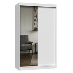 Современный шкаф с шипованными дверцами и зеркалом Iga, белый цвет цена и информация | Шкафы | 220.lv