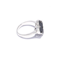 Серебряное кольцо SGG-TC-2028RBLACK цена и информация | Кольца | 220.lv