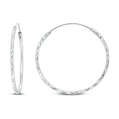 Brilio Silver Вечные серебряные круглые серьги EA01 sBS1006-2 цена и информация | Серьги | 220.lv