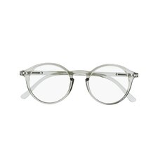 Brilles lasīšanai 7603 D2.75 Grey Cristal cena un informācija | Brilles | 220.lv