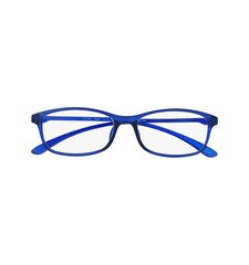 Brilles lasīšanai 7604 D2.50 Flexible Blue цена и информация | Очки | 220.lv