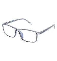 Brilles lasīšanai 7700 D1.00 Screen Cristal cena un informācija | Brilles | 220.lv