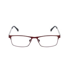 Brilles lasīšanai 7706 D1.25 Red Metal цена и информация | Очки | 220.lv