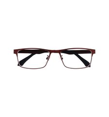 Brilles lasīšanai 7706 D1.25 Red Metal cena un informācija | Brilles | 220.lv