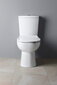 Kompakts tualetes pods Kairo ar bidē un tualetes poda sēdekli + bidē jaucējkrānu Daniel cena un informācija | Tualetes podi | 220.lv
