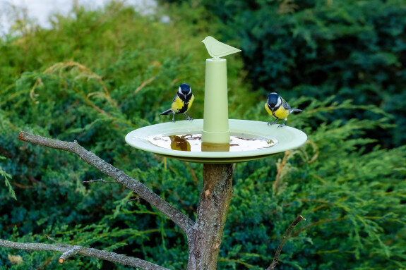 Dzirdītava putniem, kukaiņiem un tauriņiem Finch, diametrs 32 cm cena un informācija | Putnu būri un barotavas | 220.lv