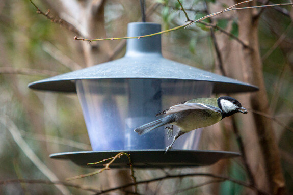 Putnu barotava Finch, diametrs 28 cm cena un informācija | Putnu būri un barotavas | 220.lv