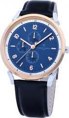 Мужские часы Pierre Cardin CPI-2063 цена и информация | Мужские часы | 220.lv