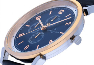Мужские часы Pierre Cardin CPI-2063 цена и информация | Мужские часы | 220.lv