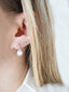 JVD Burvīgi sudraba auskari ar baltiem opāliem SVLE0412SH2O100 sJV1773 cena un informācija | Auskari | 220.lv