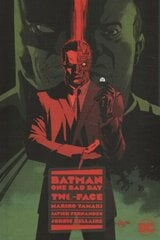 Batman: One Bad Day: Two-Face цена и информация | Фантастика, фэнтези | 220.lv