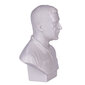 Krūšutēls, statuja Volodimirs Zelenskis (Zelensky) 15 cm danila-souvenirs cena un informācija | Citas oriģinālas dāvanas | 220.lv