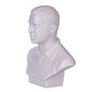 Krūšutēls, statuja Volodimirs Zelenskis (Zelensky) 15 cm danila-souvenirs cena un informācija | Citas oriģinālas dāvanas | 220.lv