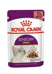 Royal Canin Sensory Smell In Gravy, 85 г. цена и информация | Консервы для котов | 220.lv