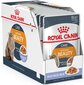 Royal Canin Intense Beauty Feline, 85 g cena un informācija | Konservi kaķiem | 220.lv